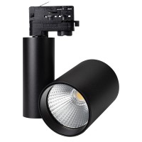 Arlight Светильник LGD-SHOP-4TR-R100-40W Cool SP7500-Fish (BK, 24 deg) (IP20 Металл, 3 года) 026291 фото