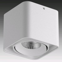 Lightstar Monocco Белый/Белый/Белый Потолочный светодиодныйсветильник 052116 LED 1х10W IP44 52116 фото