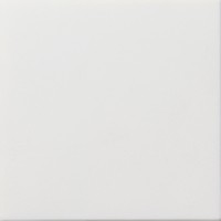 Gira F100 Бел глянц Заглушка с опорной пластиной 0268112 фото