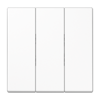 JUNG Белая Клавиша 3-ая для трёхклавишного переключателя арт. 5306EU LS993BFWW фото