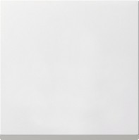 Gira FKB-SYS Белый матовый Накладка универсального диммера 231627 фото