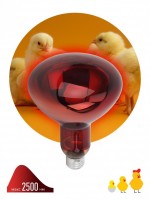 ЭРА Инфракрасная лампа ИКЗК 230-150 R127, кратность 1 шт. для обогрева животных и освещения, 150 Вт, Е27 Б0055441 фото