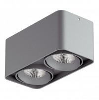Lightstar Monocco Серый/Серый/Серый Потолочный светодиодныйсветильник 052129 LED 2х10W IP44 52129 фото