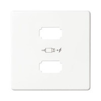 Simon 82 Detail Белый Накладка для зарядного устройства 2*USB 8221096-030 фото