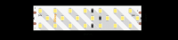 SWG Лента светодиодная ПРО 2835, 252 LED/м, 24 Вт/м, 24В , IP20, Цвет: Нейтральный белый 00-00005077 фото